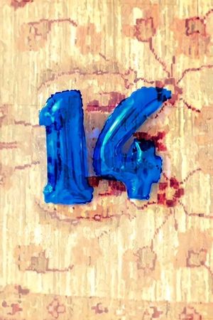 14's poster