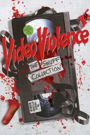 Video Violence's poster