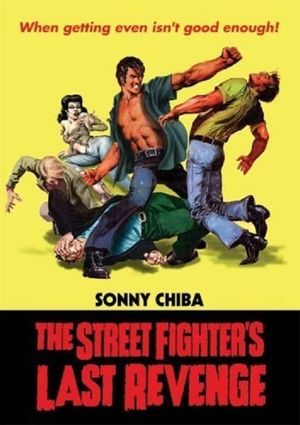 The Street Fighter's Last Revenge's poster
