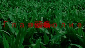 Deleted's poster