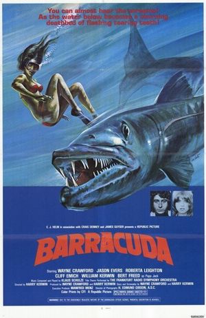 Barracuda's poster