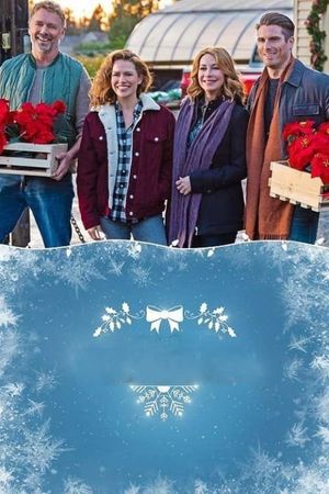 Poinsettias for Christmas's poster
