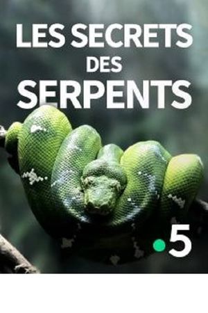 The Secrets of the Snakes's poster