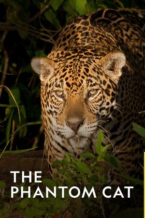 The Phantom Cat: Jaguar's poster