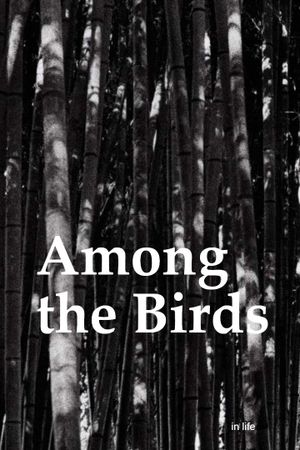 Among the Birds's poster