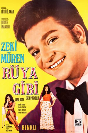 Rüya Gibi's poster
