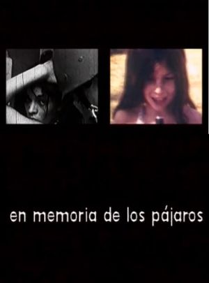 En memoria de los pájaros's poster