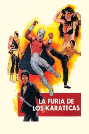 The Fury of the Karate Experts's poster