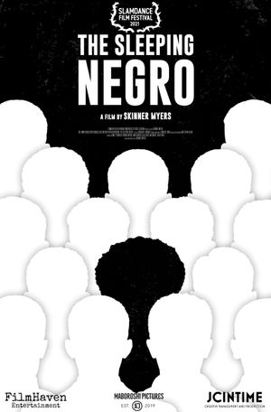 The Sleeping Negro's poster