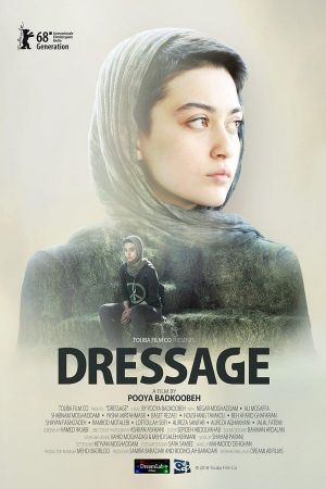 Dressage's poster