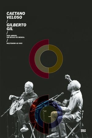 Two Friends, a Century of Music's poster