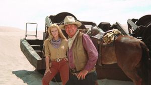 The Train Robbers's poster