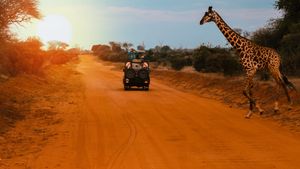 Saving Giraffes: The Long Journey Home's poster