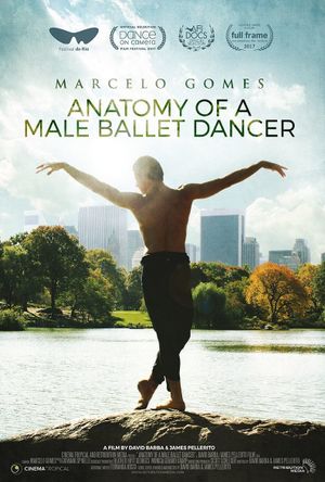 Anatomy of a Male Ballet Dancer's poster