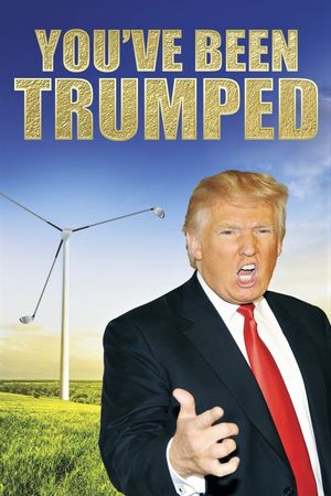 You've Been Trumped's poster