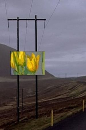 Forged Paintings in Real Icelandic Landscapes's poster