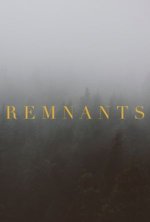 Remnants's poster