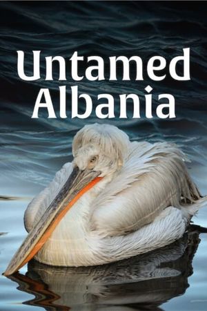 Untamed Albania's poster