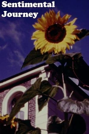 Sentimental Journey's poster