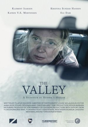 The Valley's poster