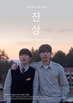 Afterimages's poster