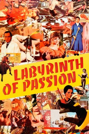 Labyrinth of Passion's poster image