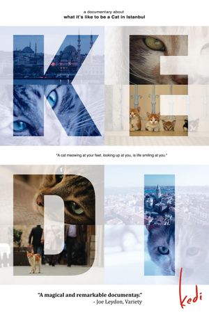 Kedi's poster