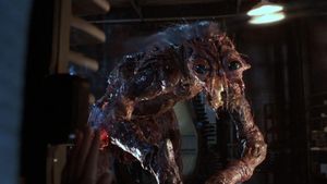 The Fly's poster