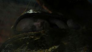 Alien: Romulus's poster