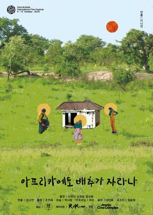 Do Cabbages Grow in Africa?'s poster