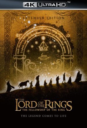 The Lord of the Rings: The Fellowship of the Ring's poster