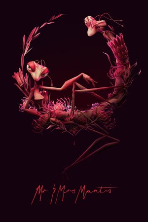 Mr & Mrs Mantis's poster