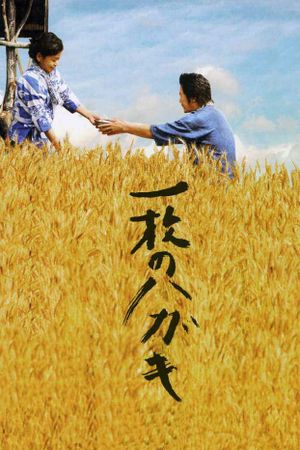 Postcard's poster