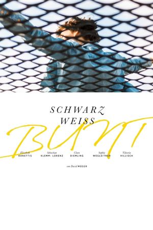 Schwarz Weiss Bunt's poster