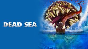 Dead Sea's poster