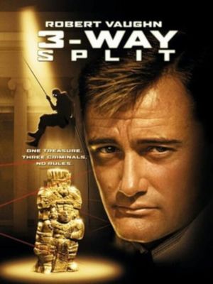 3-Way Split's poster