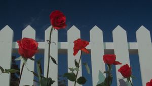 Blue Velvet's poster