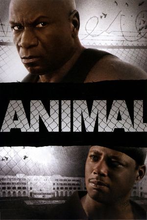 Animal's poster