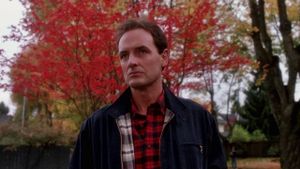 The Stepfather's poster