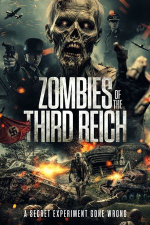 Zombies of the Third Reich's poster