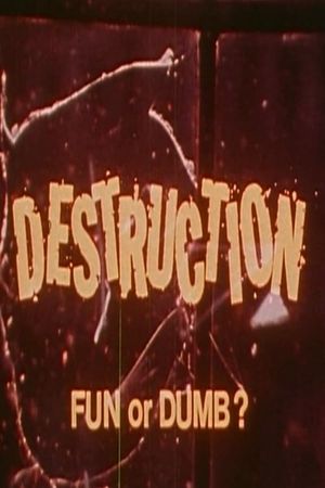 Destruction: Fun or Dumb?'s poster