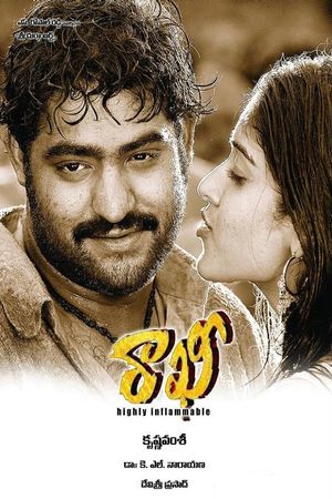 Rakhi: Highly Inflammable's poster