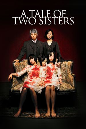 A Tale of Two Sisters's poster image