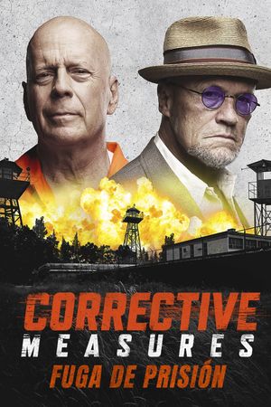 Corrective Measures's poster