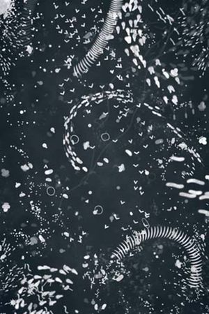 A4 Microcosm's poster