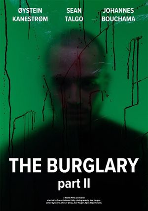 The Burglary: Part II's poster
