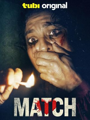 Match's poster image