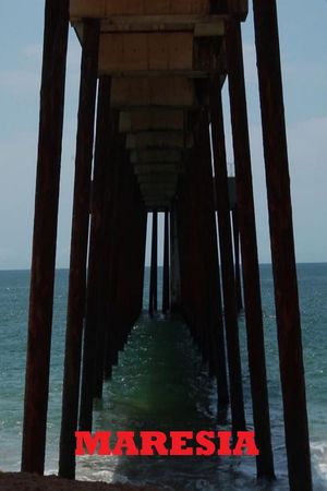 Seaside's poster