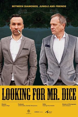 Looking for Mr. Dice's poster