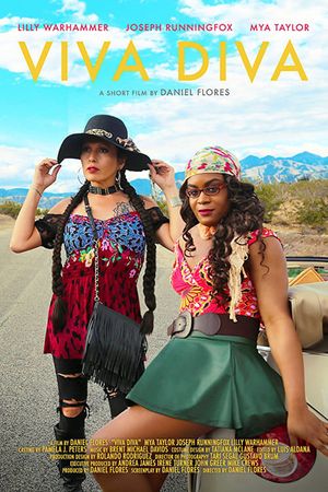 Viva Diva's poster